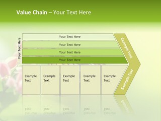 Macro Lepidoptera Color PowerPoint Template