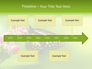 Macro Lepidoptera Color PowerPoint Template