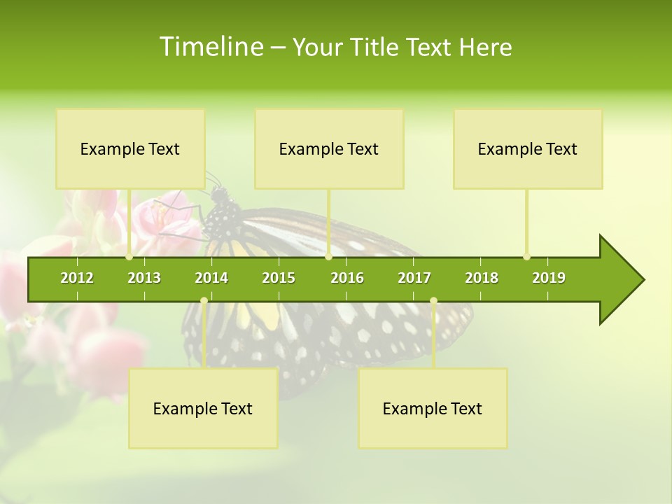 Macro Lepidoptera Color PowerPoint Template