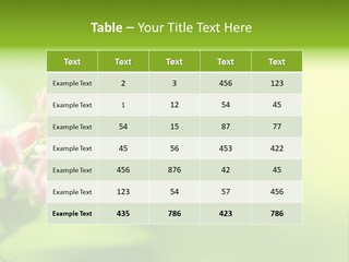 Macro Lepidoptera Color PowerPoint Template