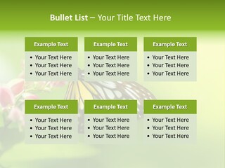 Macro Lepidoptera Color PowerPoint Template