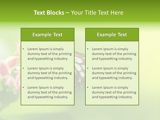 Macro Lepidoptera Color PowerPoint Template