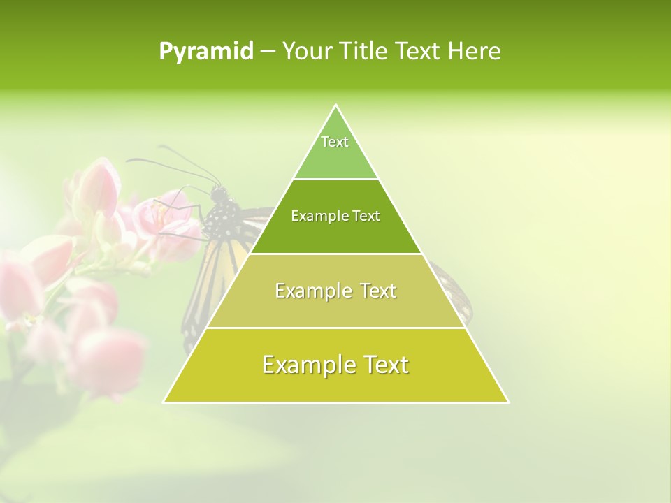 Macro Lepidoptera Color PowerPoint Template