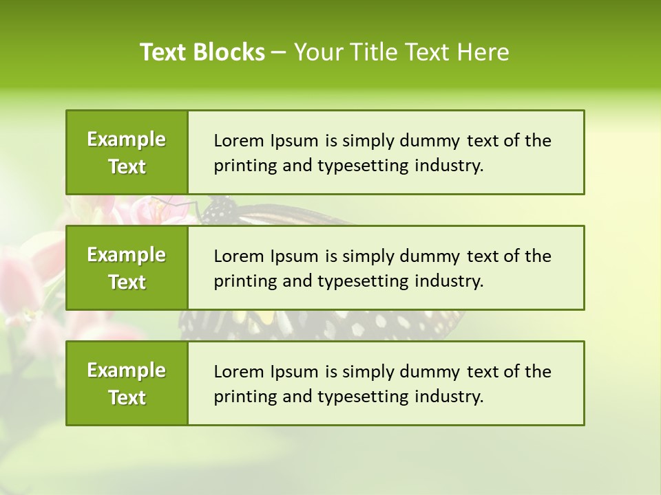 Macro Lepidoptera Color PowerPoint Template