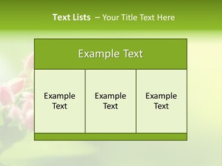 Macro Lepidoptera Color PowerPoint Template