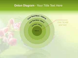 Macro Lepidoptera Color PowerPoint Template