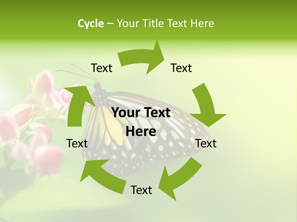 Macro Lepidoptera Color PowerPoint Template