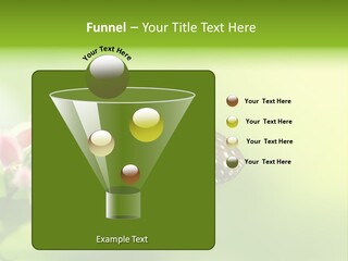 Macro Lepidoptera Color PowerPoint Template