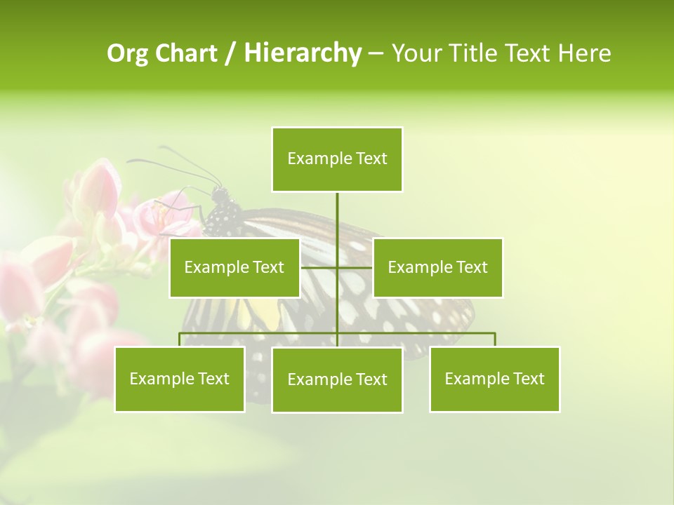 Macro Lepidoptera Color PowerPoint Template