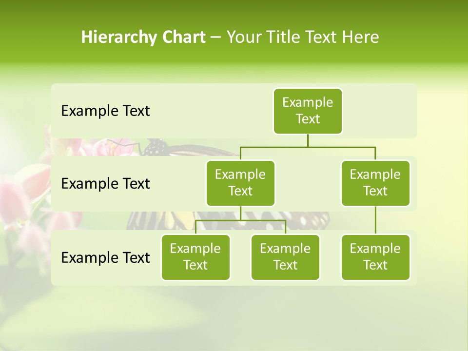 Macro Lepidoptera Color PowerPoint Template