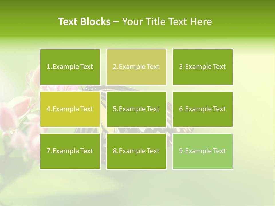 Macro Lepidoptera Color PowerPoint Template