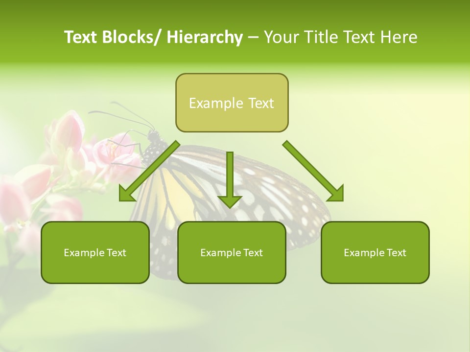 Macro Lepidoptera Color PowerPoint Template