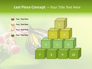 Macro Lepidoptera Color PowerPoint Template