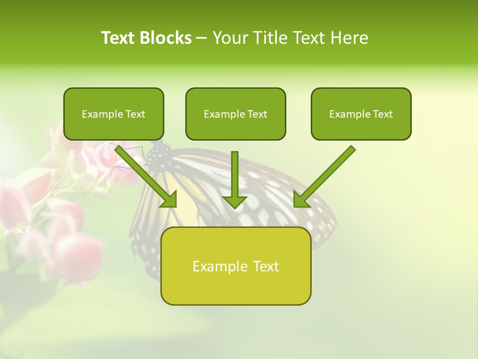 Macro Lepidoptera Color PowerPoint Template