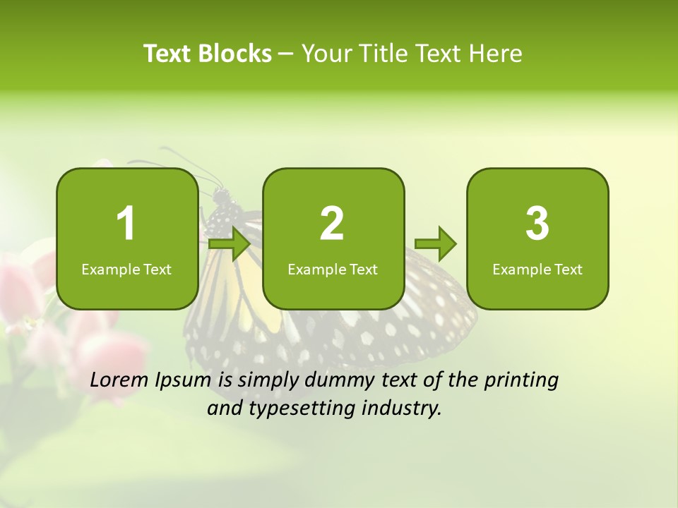 Macro Lepidoptera Color PowerPoint Template