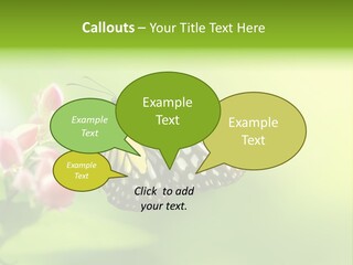 Macro Lepidoptera Color PowerPoint Template