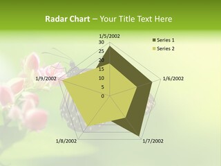 Macro Lepidoptera Color PowerPoint Template