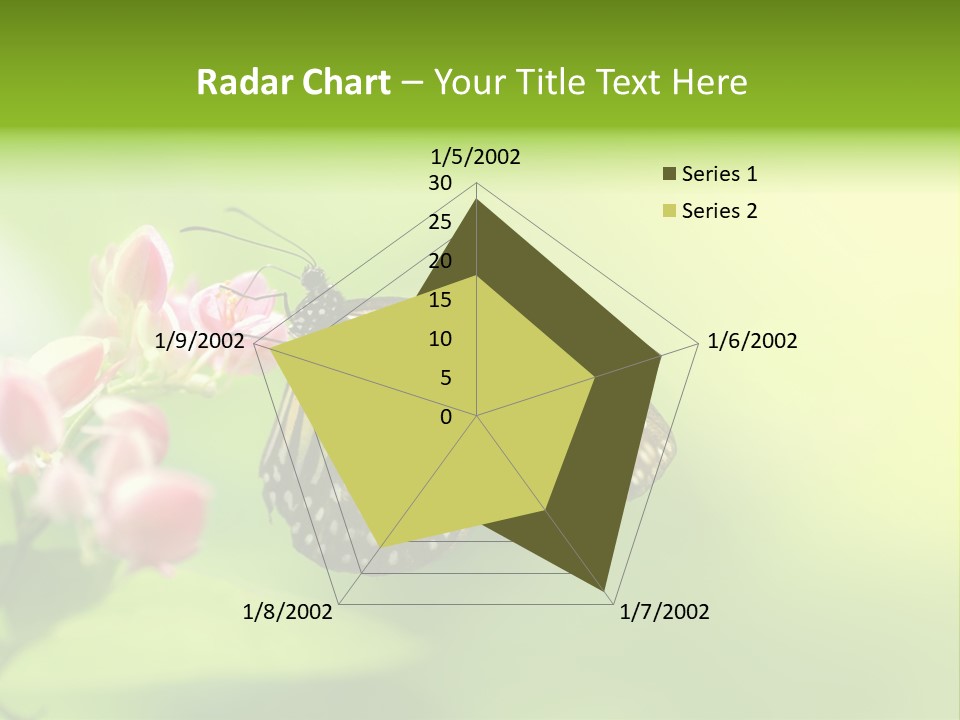 Macro Lepidoptera Color PowerPoint Template