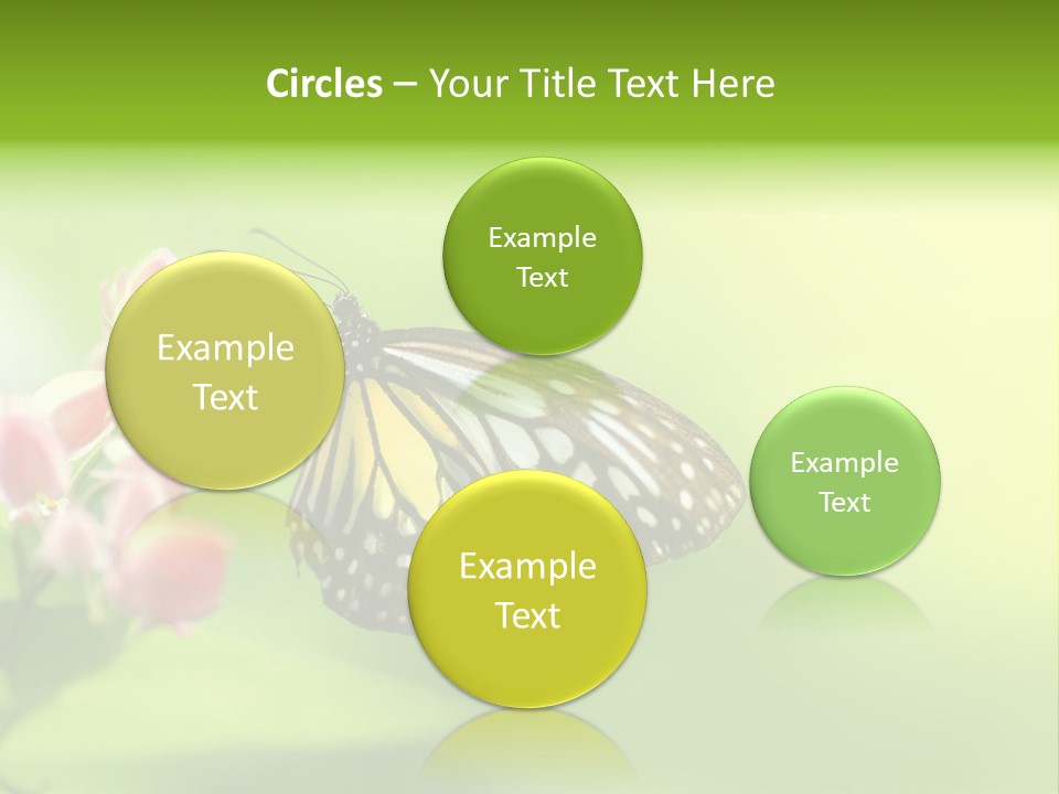 Macro Lepidoptera Color PowerPoint Template