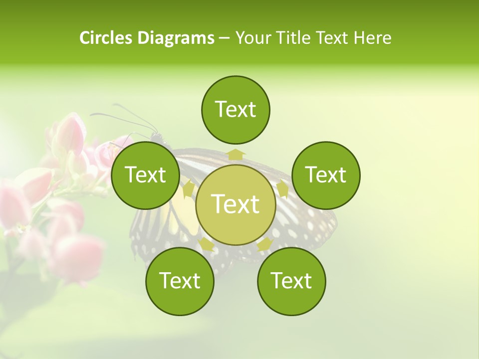 Macro Lepidoptera Color PowerPoint Template