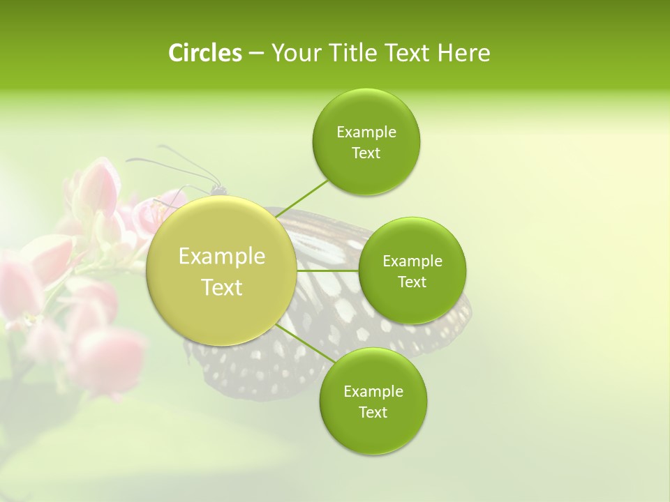 Macro Lepidoptera Color PowerPoint Template