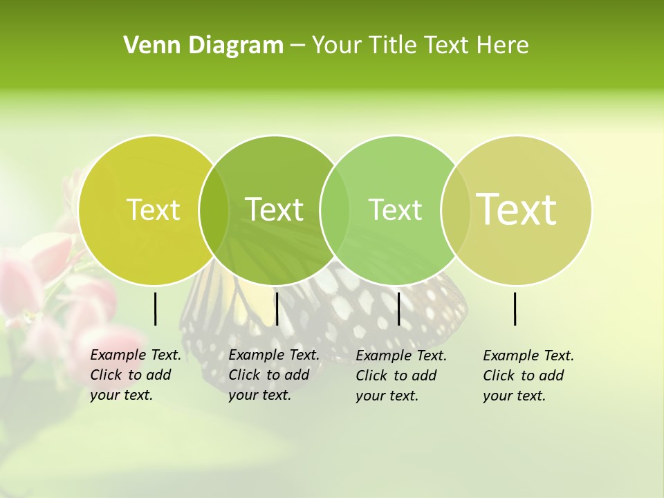 Macro Lepidoptera Color PowerPoint Template