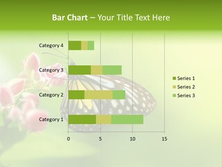 Macro Lepidoptera Color PowerPoint Template