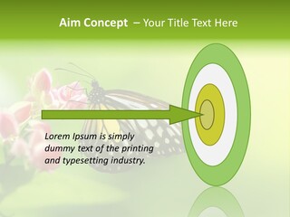 Macro Lepidoptera Color PowerPoint Template