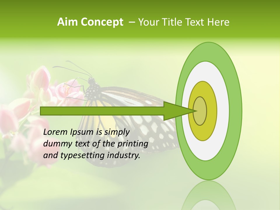 Macro Lepidoptera Color PowerPoint Template