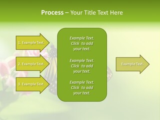 Macro Lepidoptera Color PowerPoint Template