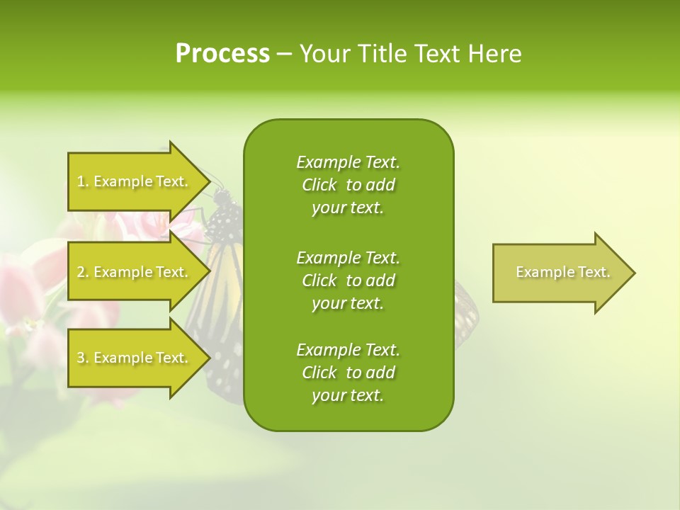 Macro Lepidoptera Color PowerPoint Template