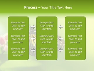 Macro Lepidoptera Color PowerPoint Template