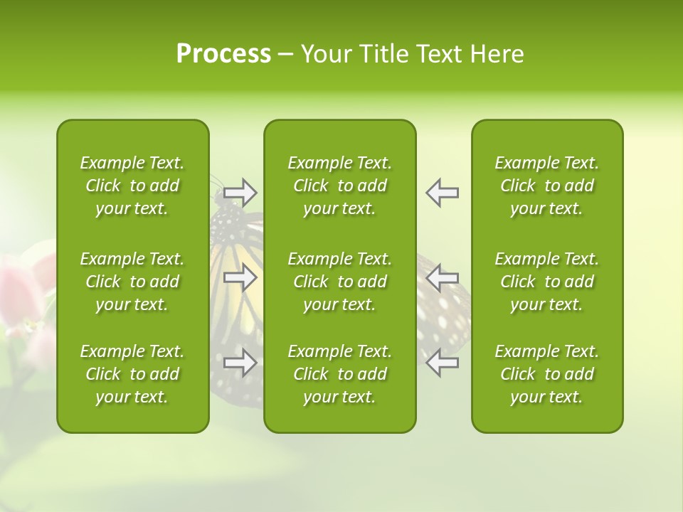 Macro Lepidoptera Color PowerPoint Template