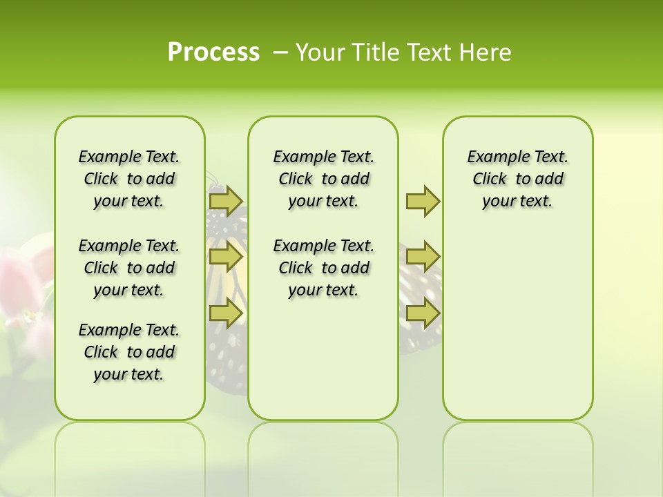 Macro Lepidoptera Color PowerPoint Template