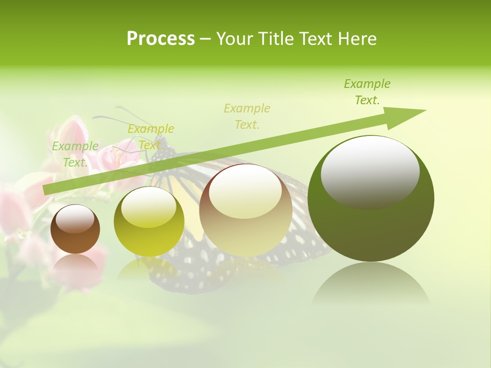 Macro Lepidoptera Color PowerPoint Template