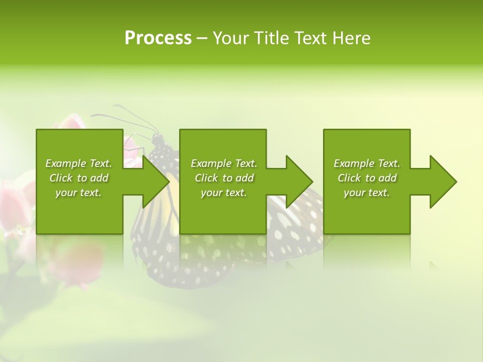 Macro Lepidoptera Color PowerPoint Template