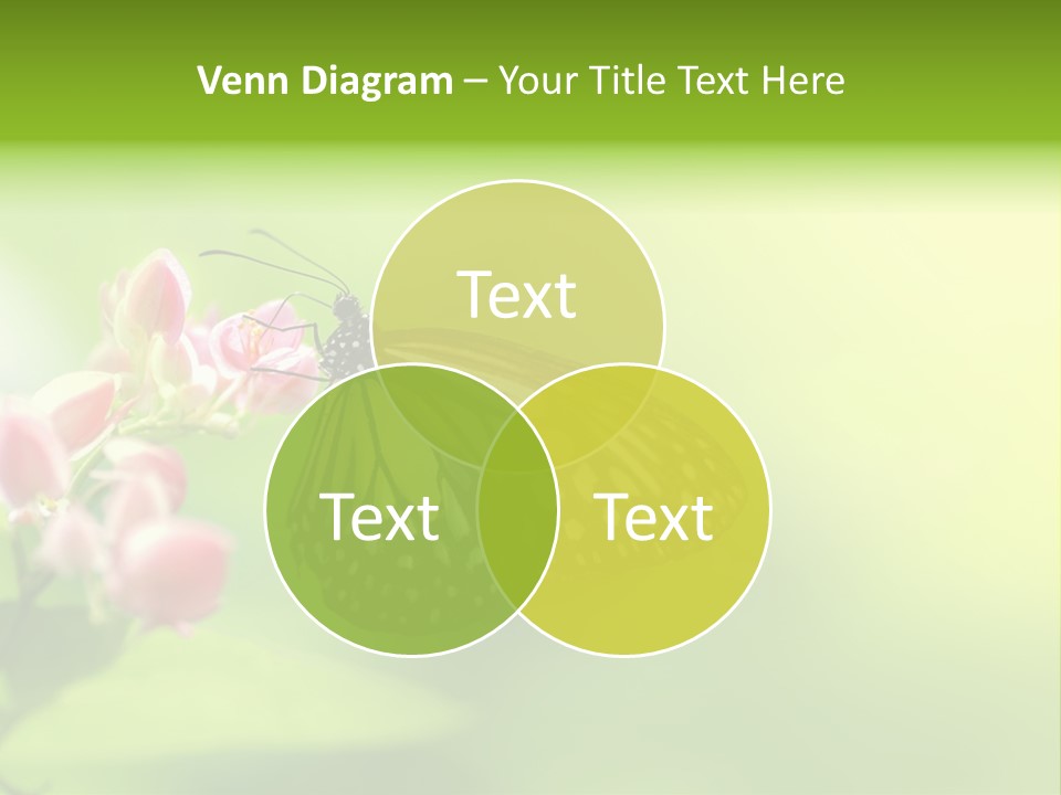 Macro Lepidoptera Color PowerPoint Template