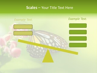 Macro Lepidoptera Color PowerPoint Template
