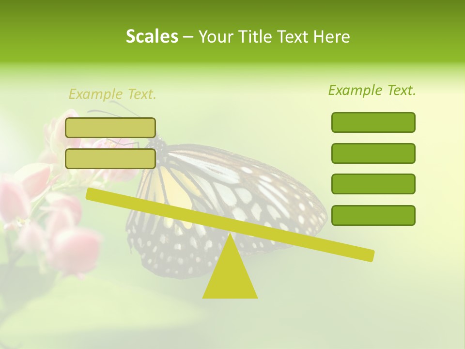 Macro Lepidoptera Color PowerPoint Template