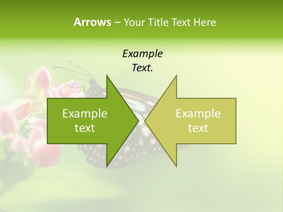 Macro Lepidoptera Color PowerPoint Template