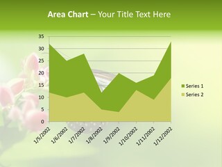 Macro Lepidoptera Color PowerPoint Template