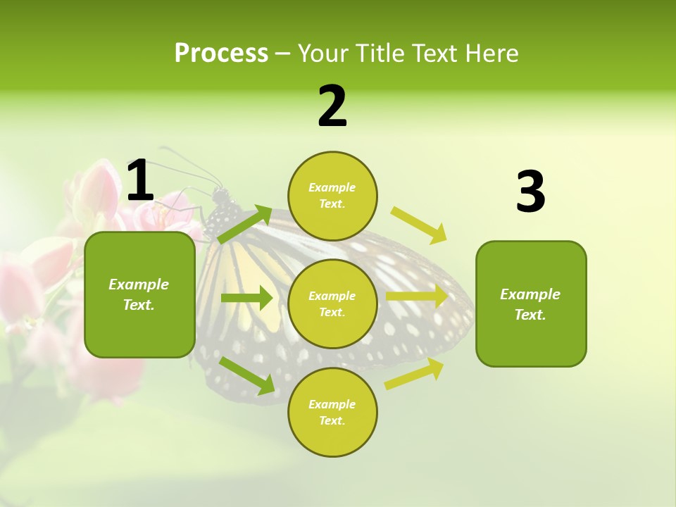 Macro Lepidoptera Color PowerPoint Template