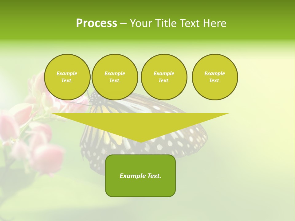 Macro Lepidoptera Color PowerPoint Template