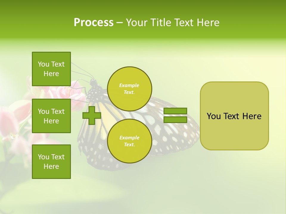 Macro Lepidoptera Color PowerPoint Template