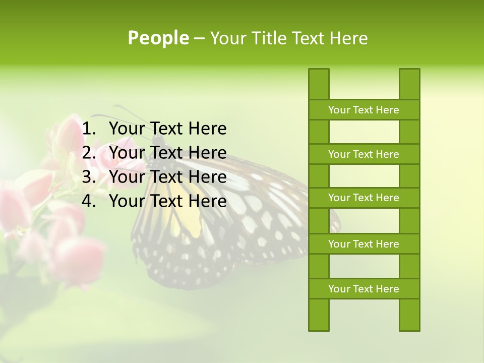 Macro Lepidoptera Color PowerPoint Template