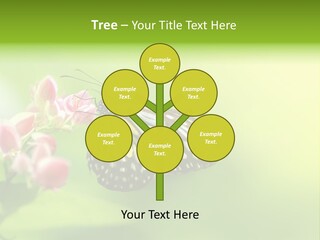 Macro Lepidoptera Color PowerPoint Template