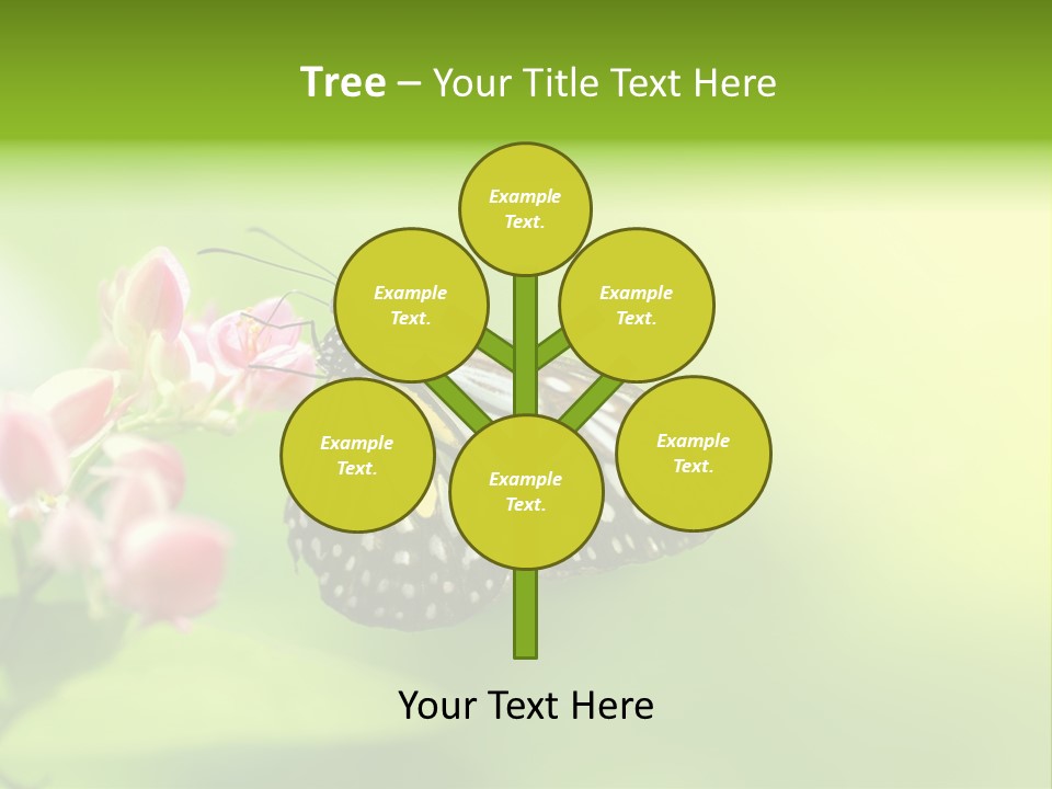 Macro Lepidoptera Color PowerPoint Template