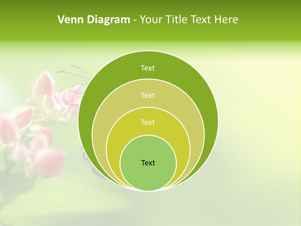 Macro Lepidoptera Color PowerPoint Template