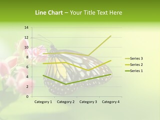 Macro Lepidoptera Color PowerPoint Template