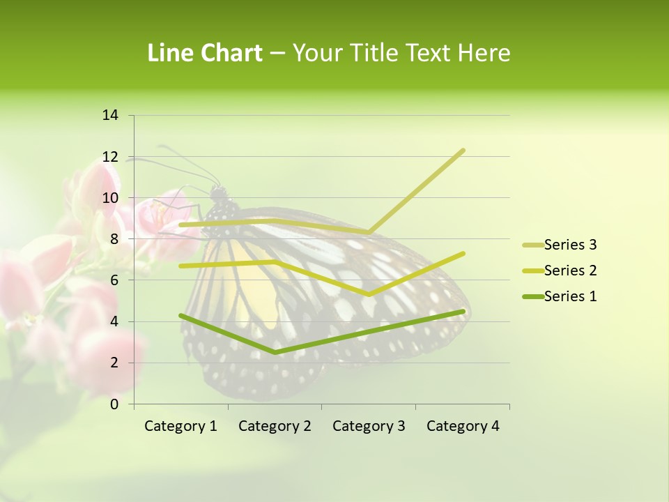 Macro Lepidoptera Color PowerPoint Template